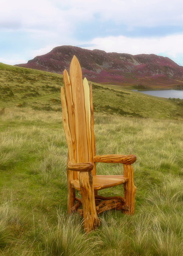Idris' Story Telling Chair